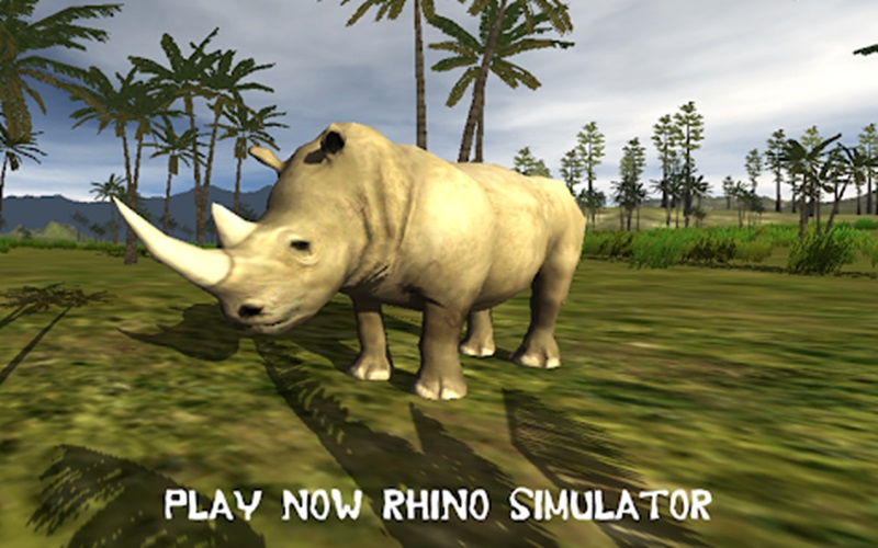 Rhinoceros