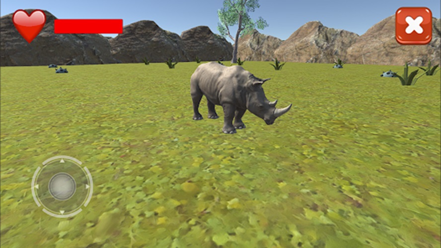 Rhinoceros